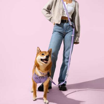 Show full view: THE LICKER STORE Arlo No Pull Dog & Cat Harness, Purple, Large: 24 to 37-in chest slide 2 of 11