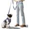 Show in main carousel: THE LICKER STORE Luna Hands-Free Dog Leash & Collar, Navy/White, Small: 9.5 to 14.1-in neck, 3/5-in wide slide 2 of 10