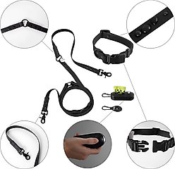 THE LICKER STORE Luna Hands-Free Dog Leash & Collar, Black, Medium: 11.8 to 18.50-in neck, 3/4-in wide slide 2 of 7