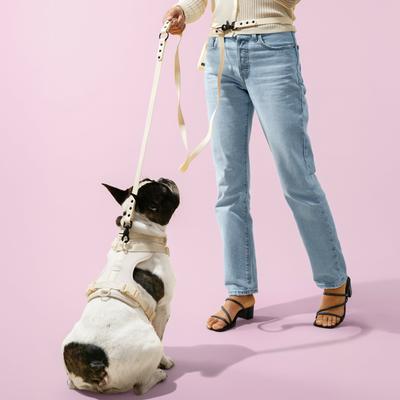 Show full view: THE LICKER STORE Arlo No Pull Dog & Cat Harness, Almond, X-Small: 11.8 to 17-in chest slide 2 of 11