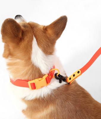 Show full view: THE LICKER STORE Luna Hands-Free Dog Leash & Collar, Dark Orange/Light Orange, Medium: 11.8 to 18.50-in neck, 3/4-in wide slide 7 of 10