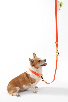 Show full view: THE LICKER STORE Luna Hands-Free Dog Leash & Collar, Dark Orange/Light Orange, Medium: 11.8 to 18.50-in neck, 3/4-in wide slide 6 of 10