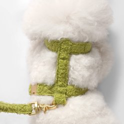 THE LICKER STORE Teddy Adjustable Dog H Harness & Leash Set, Olive Green, X-Small: 5.2 to 9.3-in neck slide 2 of 8