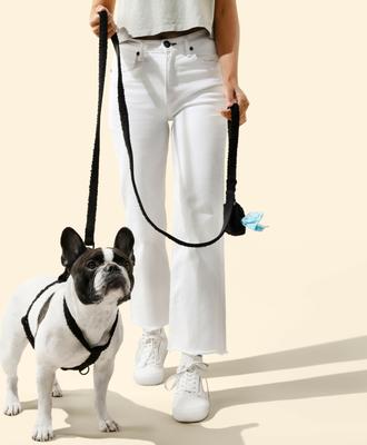 Show full view: THE LICKER STORE Teddy Adjustable Dog H Harness & Leash Set, Black, X-Small: 5.2 to 9.3-in neck slide 2 of 10