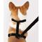 Show in main carousel: THE LICKER STORE Teddy Adjustable Dog H Harness & Leash Set, Black, Medium: 10.4 to 18-in neck slide 8 of 10
