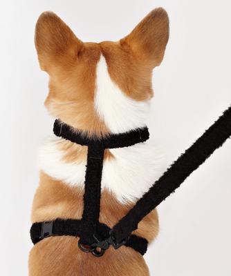 Show full view: THE LICKER STORE Teddy Adjustable Dog H Harness & Leash Set, Black, Medium: 10.4 to 18-in neck slide 8 of 10