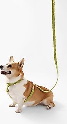 THE LICKER STORE Teddy Adjustable Dog H Harness & Leash Set, Olive Green, Medium: 10.4 to 18-in neck slide 2 of 8