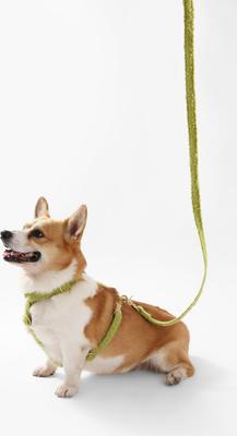 Show full view: THE LICKER STORE Teddy Adjustable Dog H Harness & Leash Set, Olive Green, Medium: 10.4 to 18-in neck slide 7 of 10