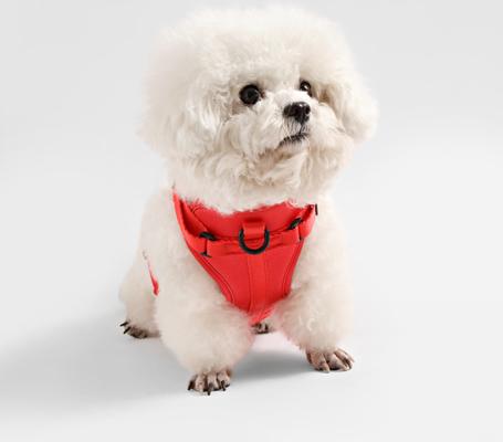 Show full view: THE LICKER STORE Arlo No Pull Dog & Cat Harness, Red, Small: 14 to 22-in chest slide 6 of 11