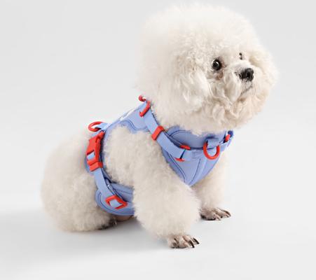 Show full view: THE LICKER STORE Arlo No Pull Dog & Cat Harness, Periwinkle, Small: 14 to 22-in chest slide 7 of 11