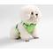 Show in main carousel: THE LICKER STORE Arlo No Pull Dog & Cat Harness, Light Green, X-Small: 11.8 to 17-in chest slide 7 of 11