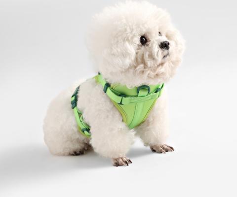 Show full view: THE LICKER STORE Arlo No Pull Dog & Cat Harness, Light Green, X-Small: 11.8 to 17-in chest slide 7 of 11