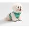 Show in main carousel: THE LICKER STORE Arlo No Pull Dog & Cat Harness, Emerald, Small: 14 to 22-in chest slide 7 of 11