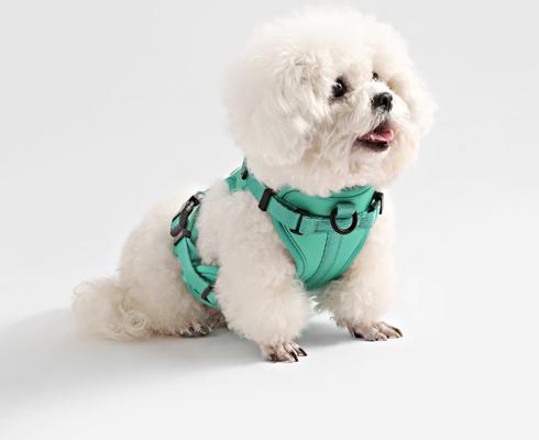 Show full view: THE LICKER STORE Arlo No Pull Dog & Cat Harness, Emerald, Small: 14 to 22-in chest slide 7 of 11