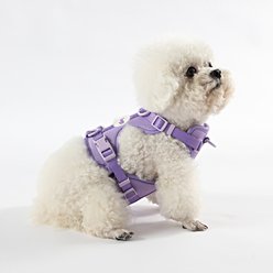 THE LICKER STORE Arlo No Pull Dog & Cat Harness, Purple, Small: 14 to 22-in chest slide 2 of 8