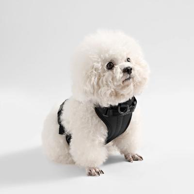 Show full view: THE LICKER STORE Arlo No Pull Dog & Cat Harness, Black, X-Small: 11.8 to 17-in chest slide 8 of 12