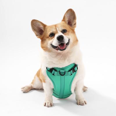 Show full view: THE LICKER STORE Arlo No Pull Dog & Cat Harness, Emerald, Medium: 18 to 28-in chest slide 6 of 11