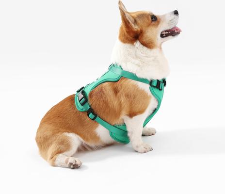 Show full view: THE LICKER STORE Arlo No Pull Dog & Cat Harness, Emerald, Medium: 18 to 28-in chest slide 7 of 11
