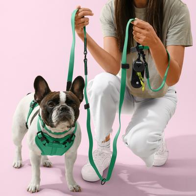 Show full view: THE LICKER STORE Arlo No Pull Dog & Cat Harness, Emerald, Small: 14 to 22-in chest slide 2 of 11