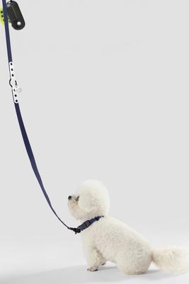 Show full view: THE LICKER STORE Luna Hands-Free Dog Leash & Collar, Navy/White, Small: 9.5 to 14.1-in neck, 3/5-in wide slide 6 of 10
