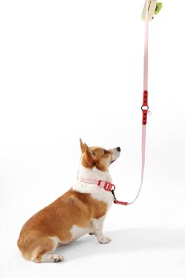 Show full view: THE LICKER STORE Luna Hands-Free Dog Leash & Collar, Pink/Red, Medium: 11.8 to 18.50-in neck, 3/4-in wide slide 6 of 10