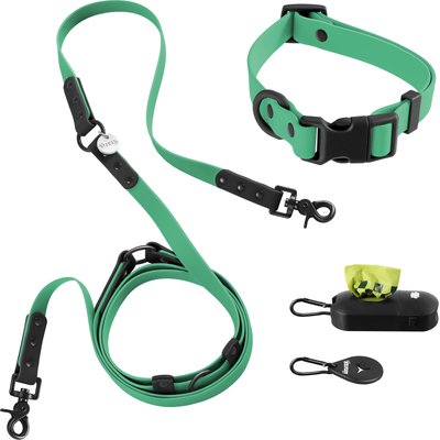 THE LICKER STORE THE LICKER STORE Luna Hands-Free Dog Leash & Collar, Emerald/Black, Medium: 11.8 to 18.50-in neck, 3/4-in wide