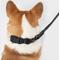 Show in main carousel: THE LICKER STORE Luna Hands-Free Dog Leash & Collar, Black, Medium: 11.8 to 18.50-in neck, 3/4-in wide slide 7 of 10