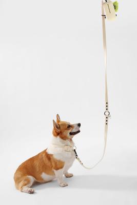 Show full view: THE LICKER STORE Luna Hands-Free Dog Leash & Collar, Almond, Medium: 11.8 to 18.50-in neck, 3/4-in wide slide 6 of 10