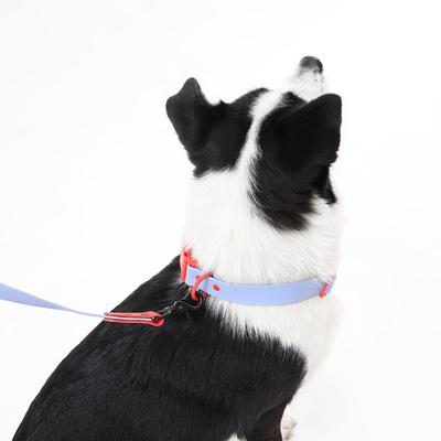 Show full view: THE LICKER STORE Luna Hands-Free Dog Leash & Collar, Periwinkle/Red, Large: 15.3 to 24.8-in neck, 1-in wide slide 7 of 10