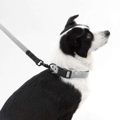 Show full view: THE LICKER STORE Luna Hands-Free Dog Leash & Collar, Gray/Black, Large: 15.3 to 24.8-in neck, 1-in wide slide 7 of 10