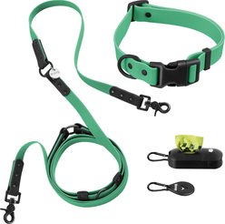 THE LICKER STORE Luna Hands-Free Dog Leash & Collar, Emerald/Black, Large: 15.3 to 24.8-in neck, 1-in wide