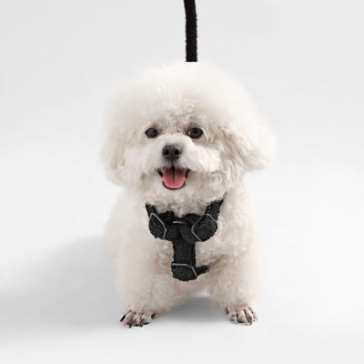 Show full view: THE LICKER STORE Teddy Adjustable Dog H Harness & Leash Set, Black, X-Small: 5.2 to 9.3-in neck slide 6 of 10