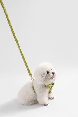 Show full view: THE LICKER STORE Teddy Adjustable Dog H Harness & Leash Set, Olive Green, Small: 7.3 to 13.4-in neck slide 7 of 10