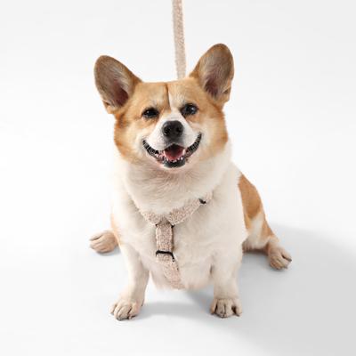 Show full view: THE LICKER STORE Teddy Adjustable Dog H Harness & Leash Set, Beige, Medium: 10.4 to 18-in neck slide 6 of 10