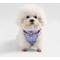 Show in main carousel: THE LICKER STORE Arlo No Pull Dog & Cat Harness, Periwinkle, Small: 14 to 22-in chest slide 6 of 11
