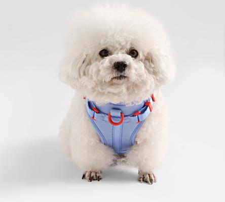 Show full view: THE LICKER STORE Arlo No Pull Dog & Cat Harness, Periwinkle, Small: 14 to 22-in chest slide 6 of 11