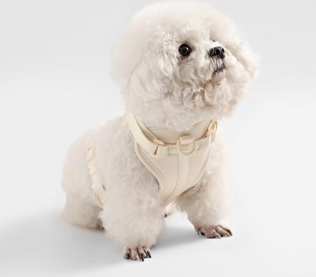 Show full view: THE LICKER STORE Arlo No Pull Dog & Cat Harness, Almond, X-Small: 11.8 to 17-in chest slide 7 of 11