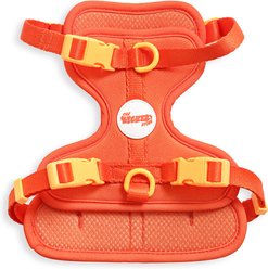 THE LICKER STORE Arlo No Pull Dog & Cat Harness, Dark Orange, Small: 14 to 22-in chest