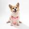 Show in main carousel: THE LICKER STORE Arlo No Pull Dog & Cat Harness, Pink, Medium: 18 to 28-in chest slide 6 of 11