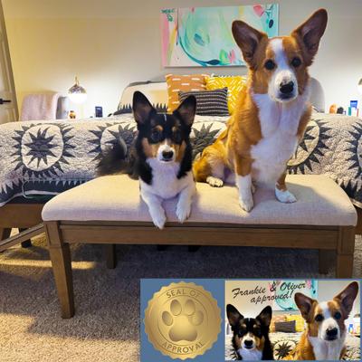 Show full view: OIC Pet Barkley Cat & Dog Bench Ramp, Harvest slide 3 of 11