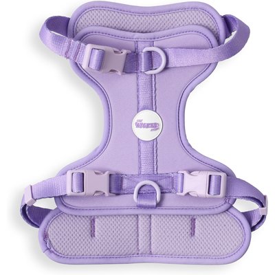 THE LICKER STORE THE LICKER STORE Arlo No Pull Dog & Cat Harness, Purple, Medium: 18 to 28-in chest