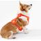 Show in main carousel: THE LICKER STORE Arlo No Pull Dog & Cat Harness, Dark Orange, Medium: 18 to 28-in chest slide 8 of 12