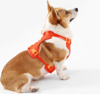 Show full view: THE LICKER STORE Arlo No Pull Dog & Cat Harness, Dark Orange, Medium: 18 to 28-in chest slide 8 of 12