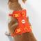 Show in main carousel: THE LICKER STORE Arlo No Pull Dog & Cat Harness, Dark Orange, Medium: 18 to 28-in chest slide 9 of 12