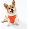 Show in main carousel: THE LICKER STORE Arlo No Pull Dog & Cat Harness, Dark Orange, Medium: 18 to 28-in chest slide 7 of 12