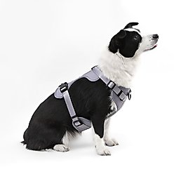 THE LICKER STORE Arlo No Pull Dog & Cat Harness, Gray, Large: 24 to 37-in chest slide 2 of 8