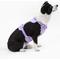 Show in main carousel: THE LICKER STORE Arlo No Pull Dog & Cat Harness, Purple, Large: 24 to 37-in chest slide 7 of 11