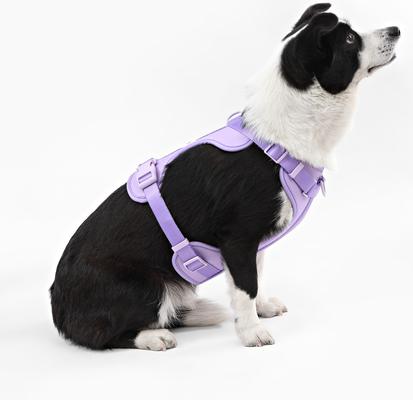 Show full view: THE LICKER STORE Arlo No Pull Dog & Cat Harness, Purple, Large: 24 to 37-in chest slide 7 of 11