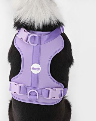 Show full view: THE LICKER STORE Arlo No Pull Dog & Cat Harness, Purple, Large: 24 to 37-in chest slide 8 of 11