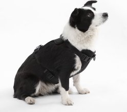 THE LICKER STORE Arlo No Pull Dog & Cat Harness, Black, Large: 24 to 37-in chest slide 2 of 8